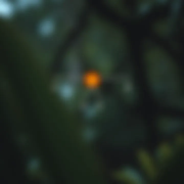 Diagram illustrating a binary tree with highlighted lowest common ancestor between two nodes